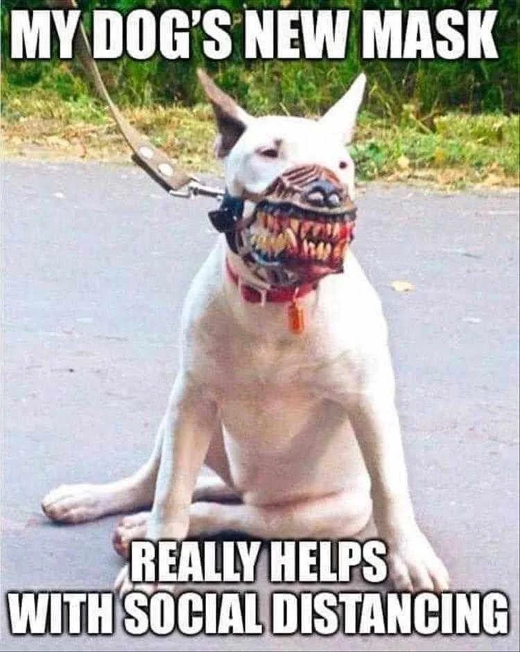 Post your jokes and humor here.