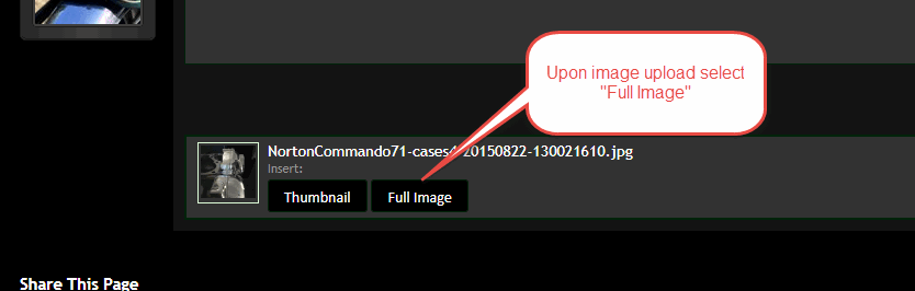New forum observations thread