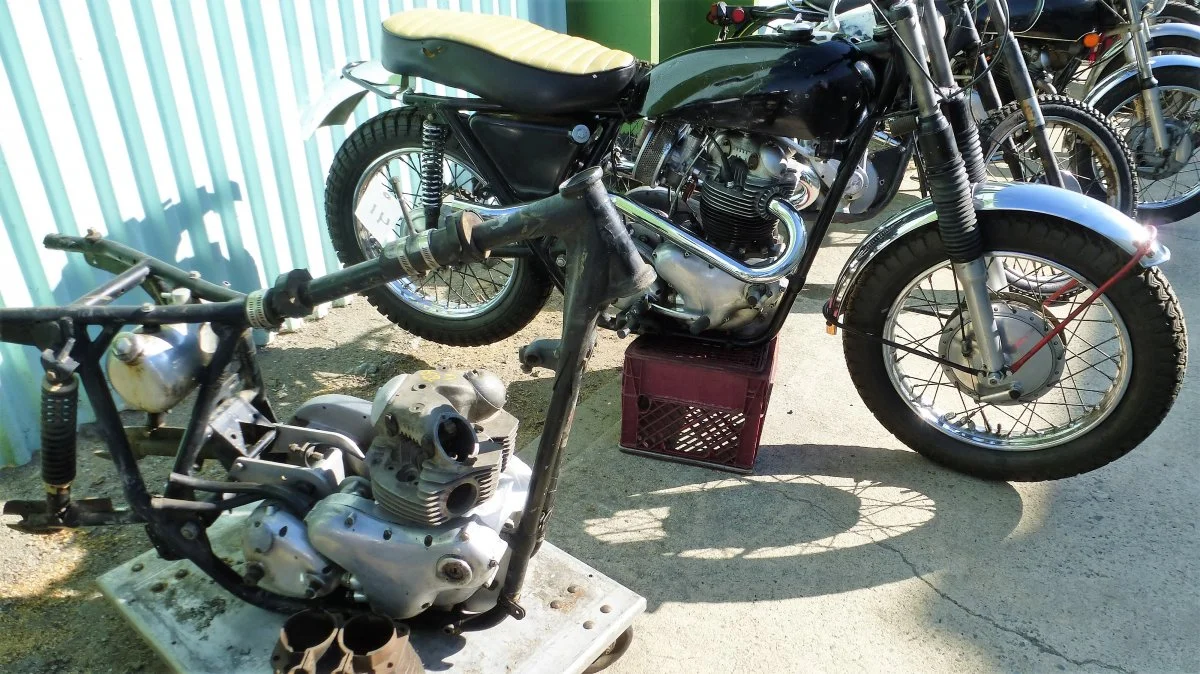 2 running and 1 project p11's found new homes at the recent Raber's auction.