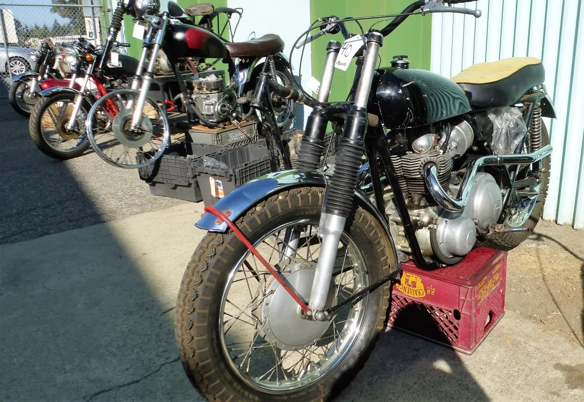 2 running and 1 project p11's found new homes at the recent Raber's auction.