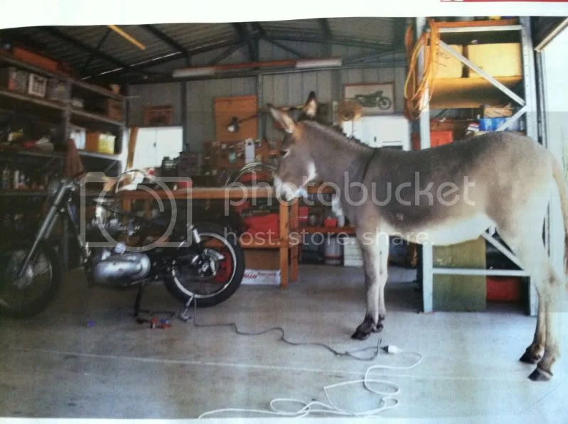 Funny clean jokes wanted