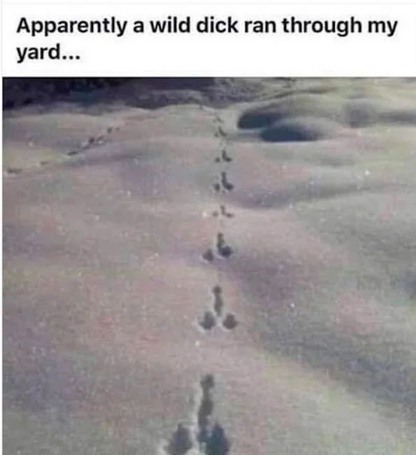 Post your jokes and humor here.