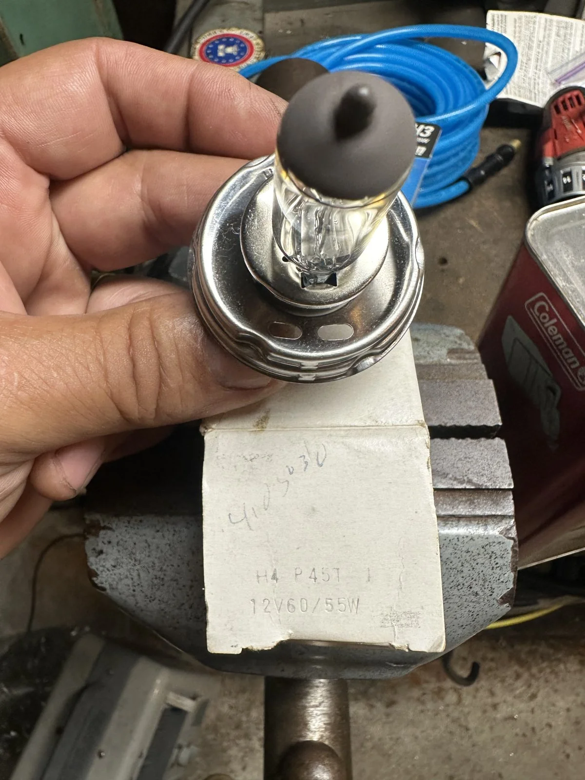 Cibie headlight bulb?