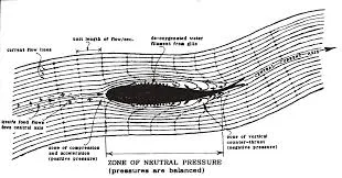 Pistons - flat or domed?