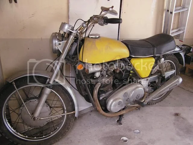 Newcomer looking for buying advice