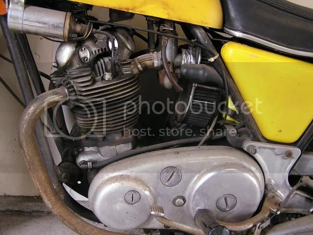 Newcomer looking for buying advice