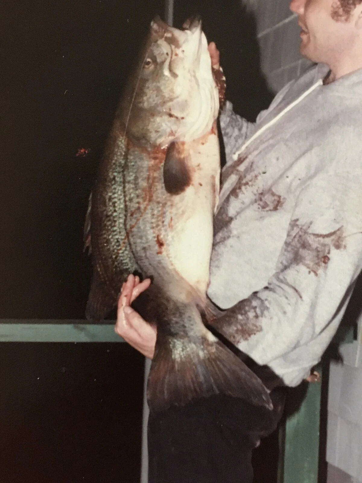 Who else enjoys fishing ?