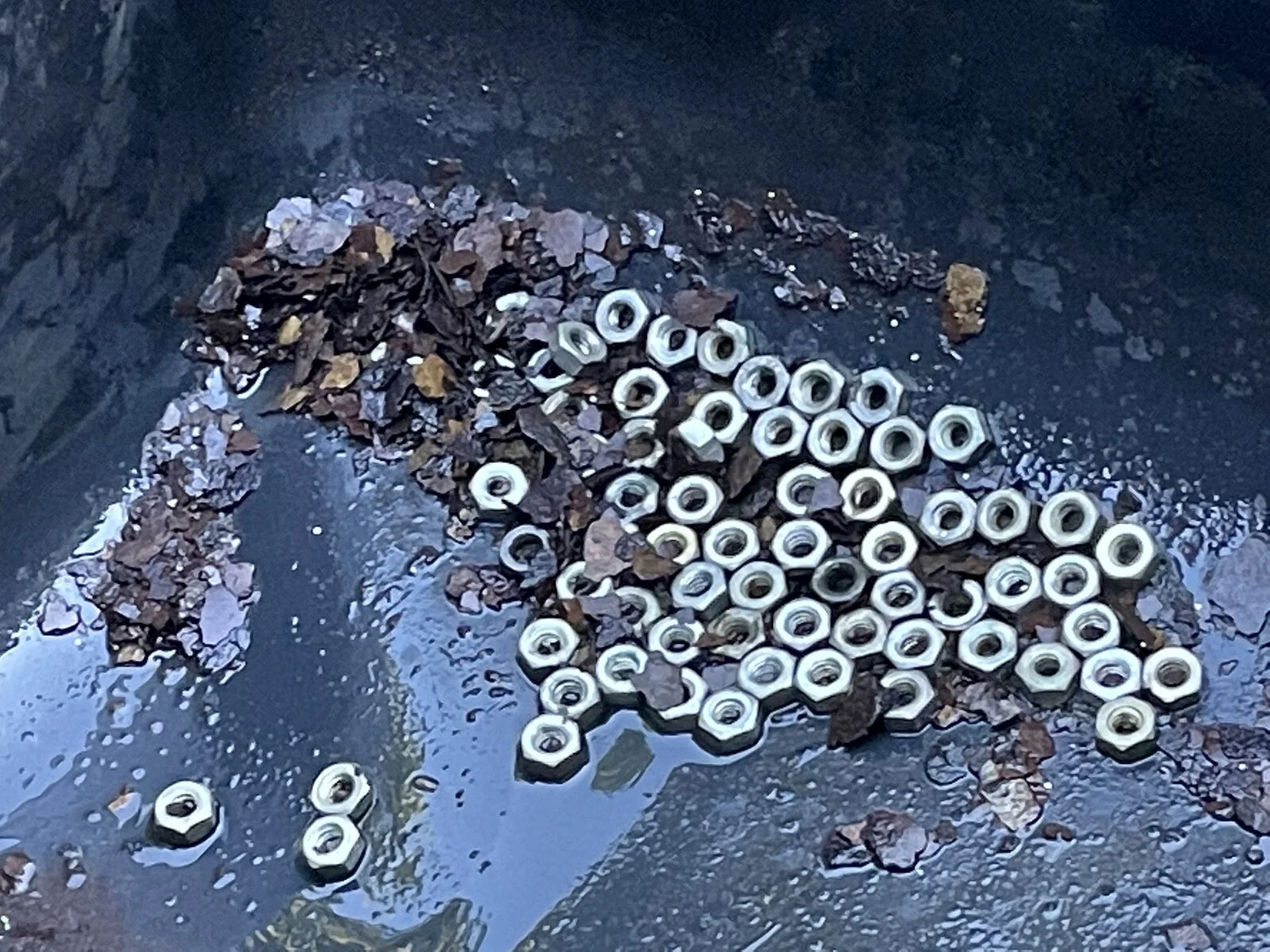 Rusty bike fuel tanks