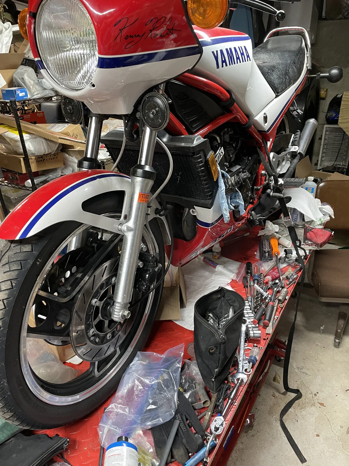 Time for Trixie to Go Under the knife