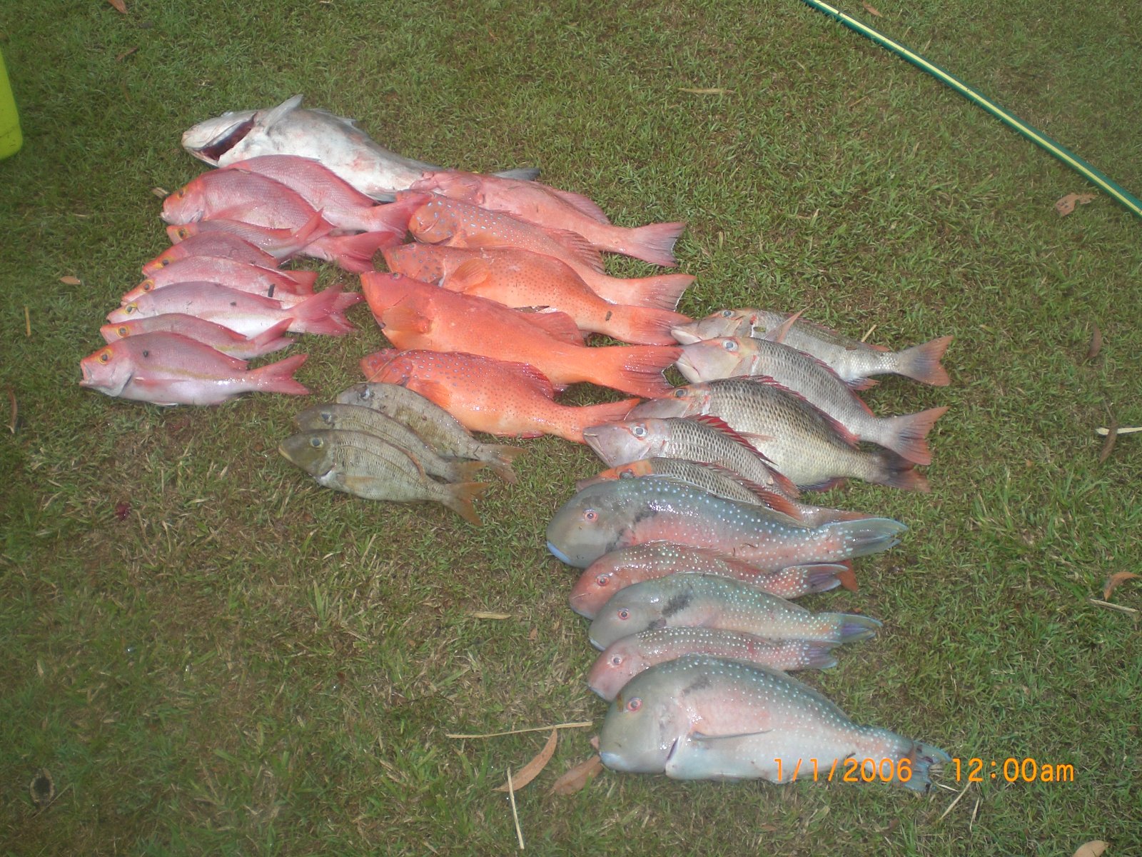 Our hobbies other than bikes