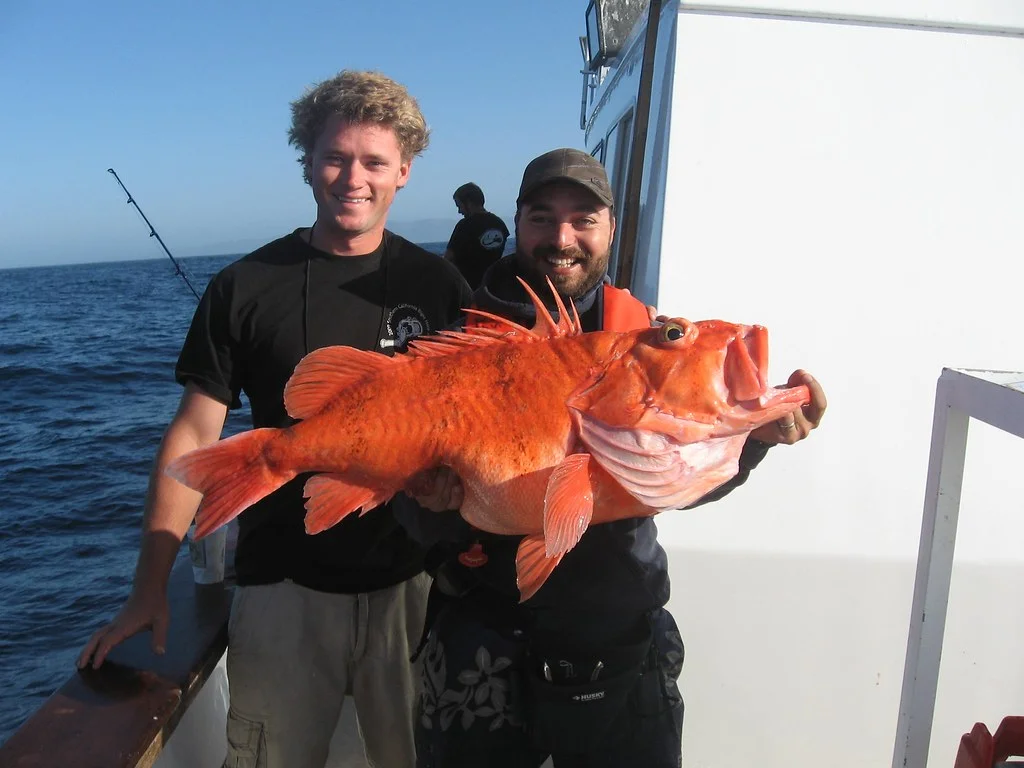 Who else enjoys fishing ?