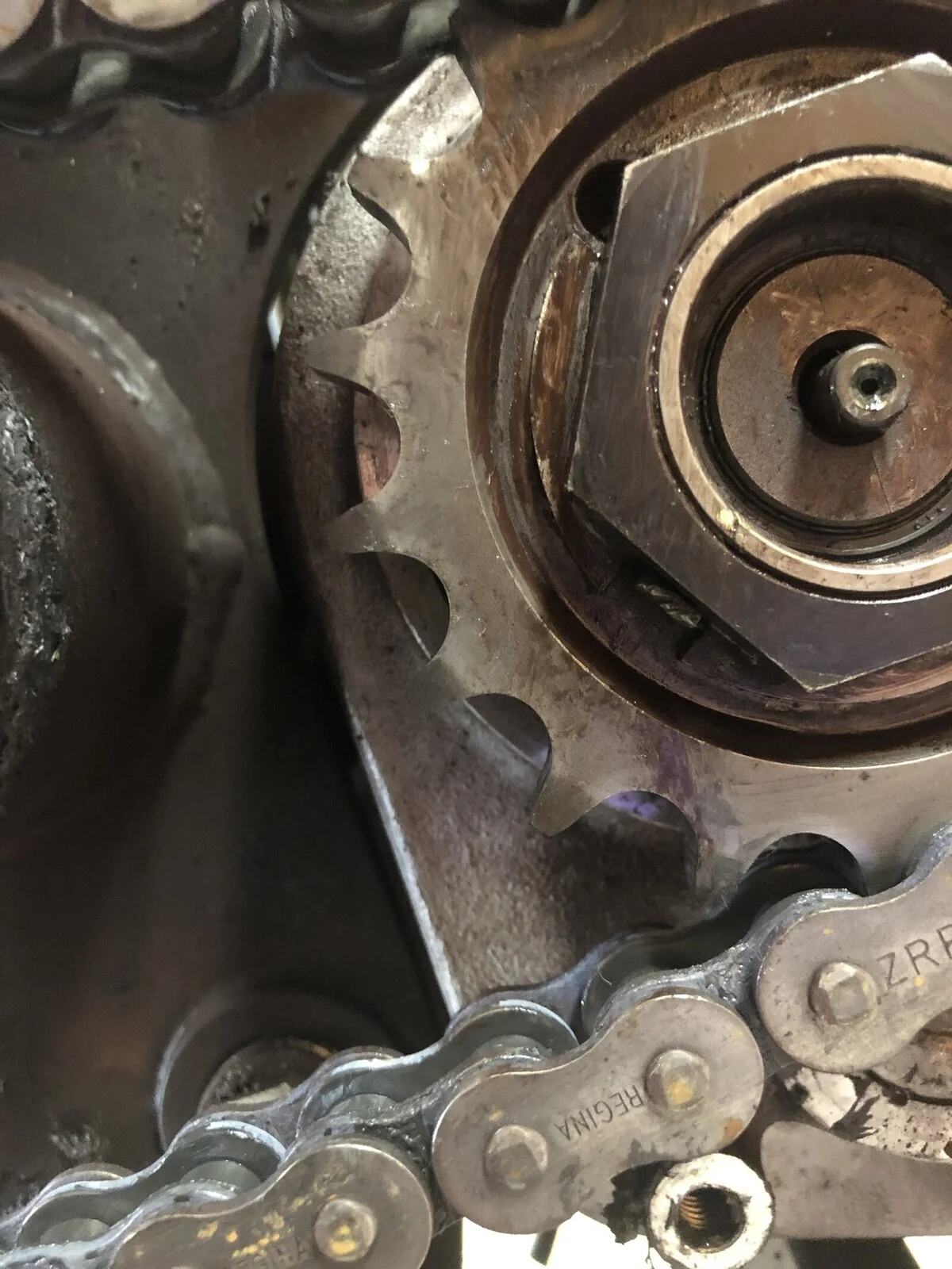 Regina ZRP Drive Chain worn out after 16,000 miles