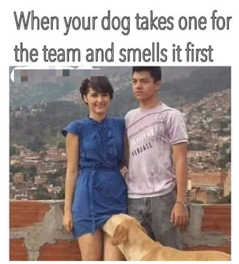 Post your jokes and humor here.