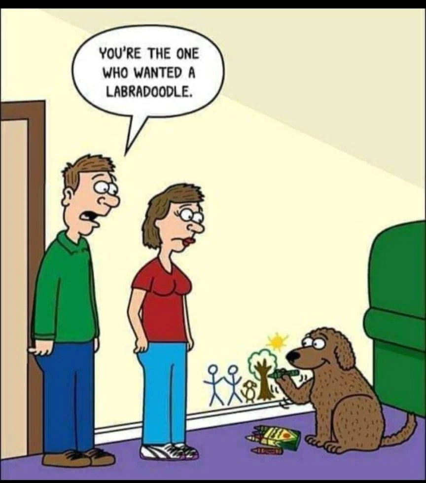 Post your jokes and humor here.