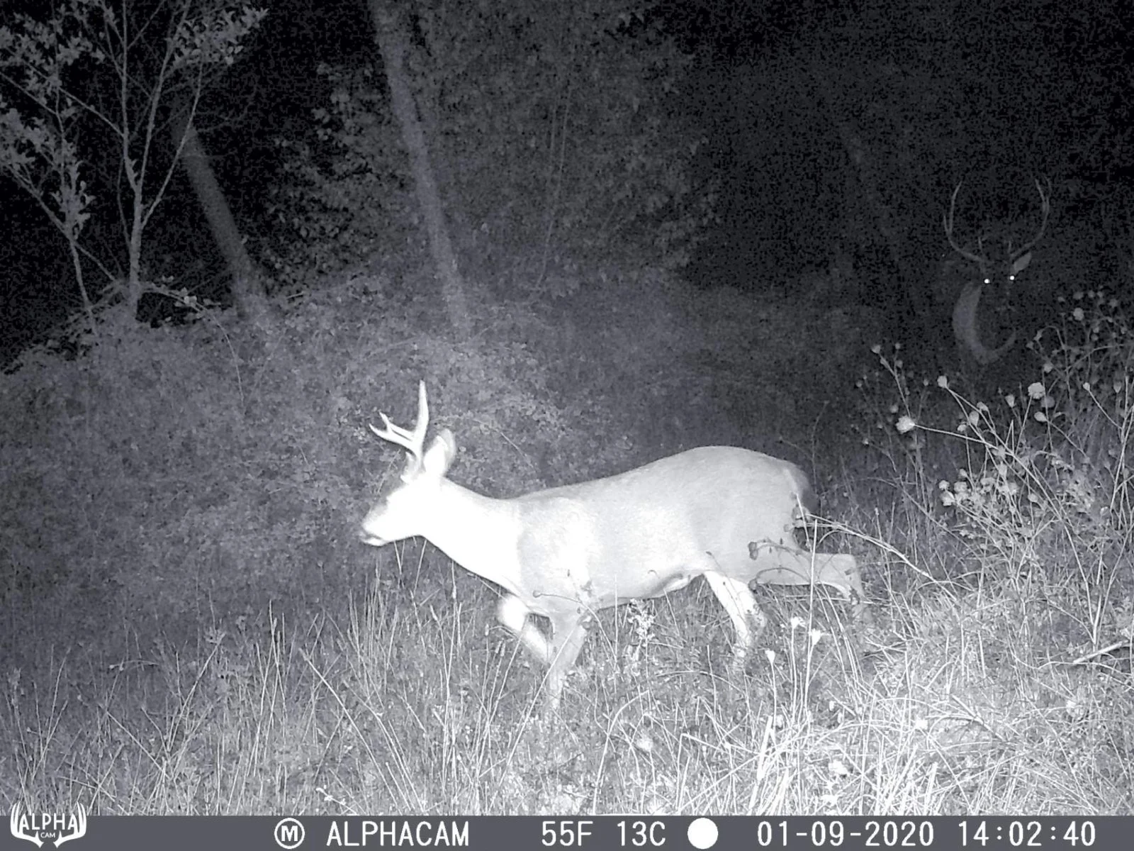 Just when you think you're a badass