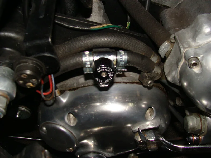 73 Resurection and stupid questions