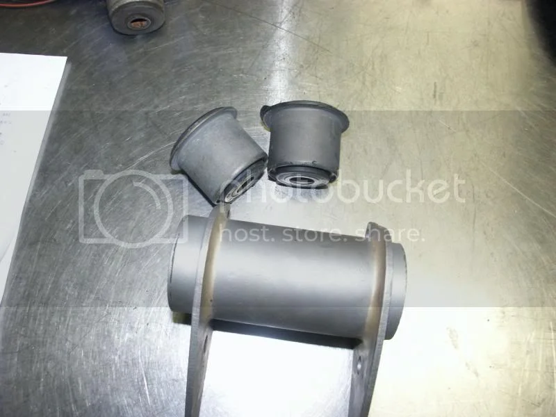 Tomorrow looks like fun