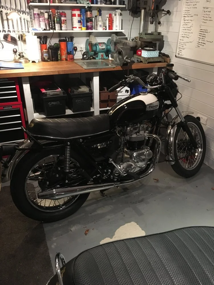 It followed me home dear, honest...