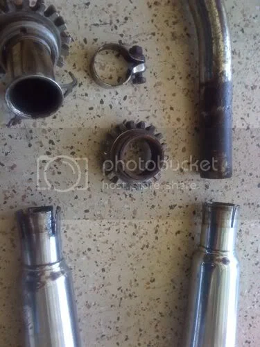 Peashooter separation anxiety