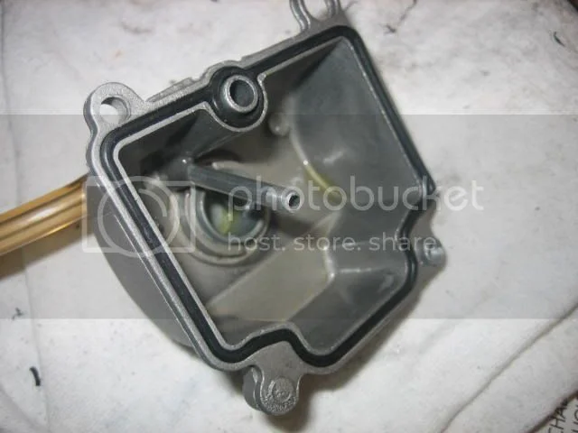 Shaking down an old dog