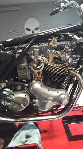 Time for Trixie to Go Under the knife