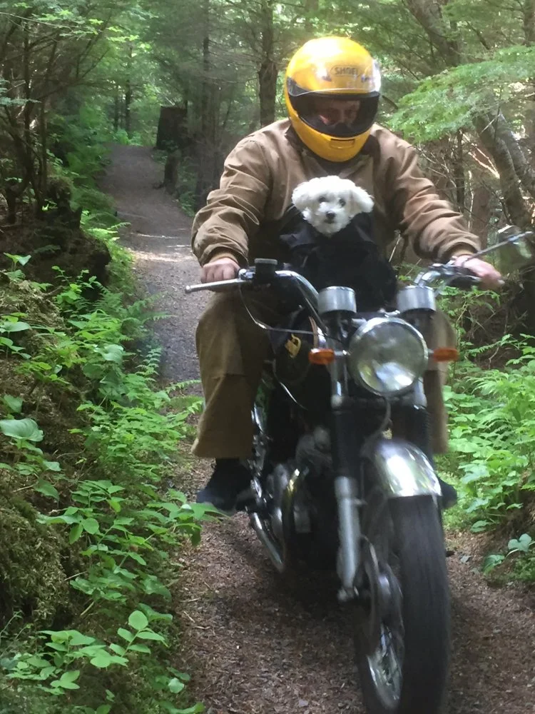 This Thing's A Babe Magnet...(2018)