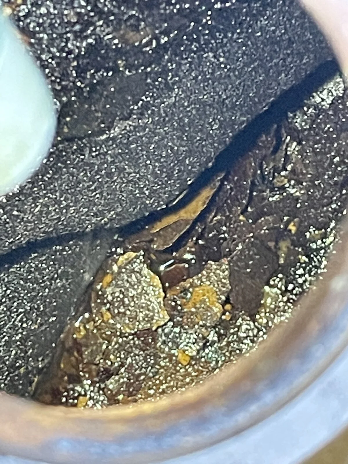 Rusty bike fuel tanks