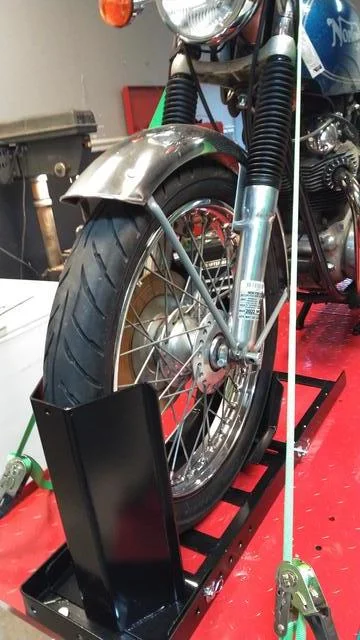 Time for Trixie to Go Under the knife