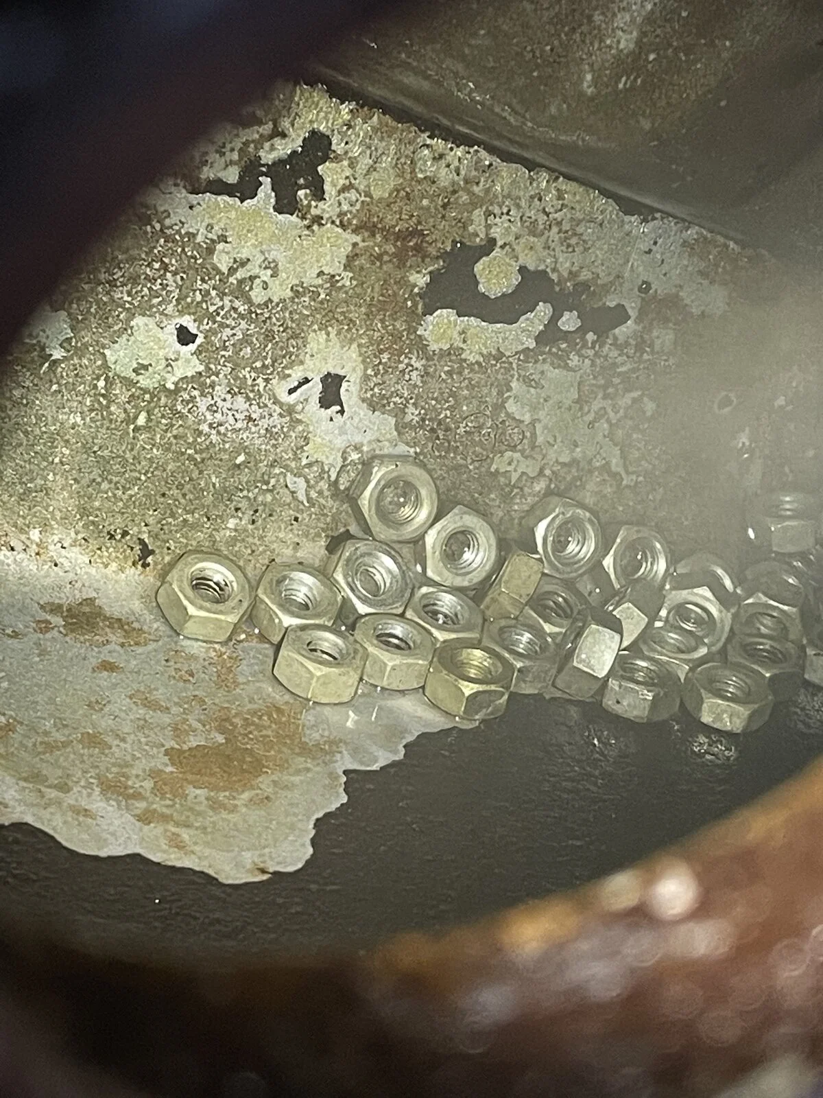 Rusty bike fuel tanks