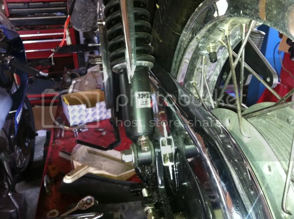 Maxton or Falcon... ?