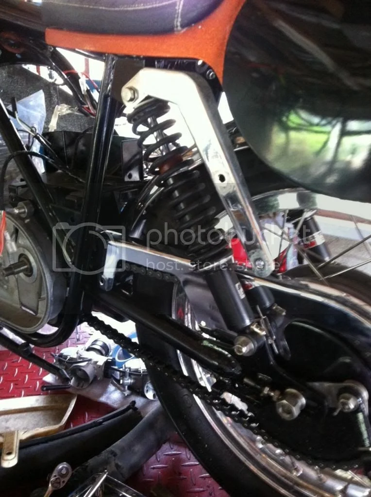 Maxton or Falcon... ?