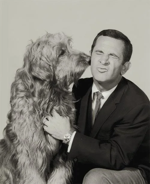 Harleys in Hollywood