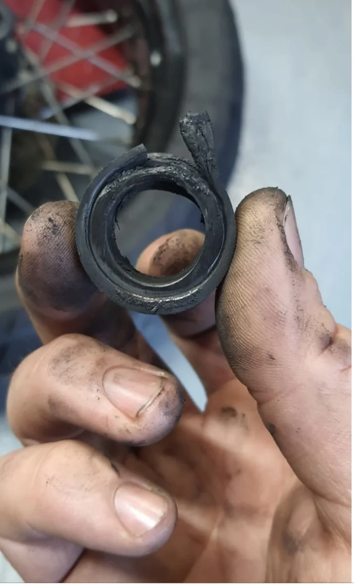 961 Cush drive rubbers (damping rubbers, part number 6010049)