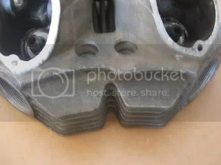 Head fin repair Australia