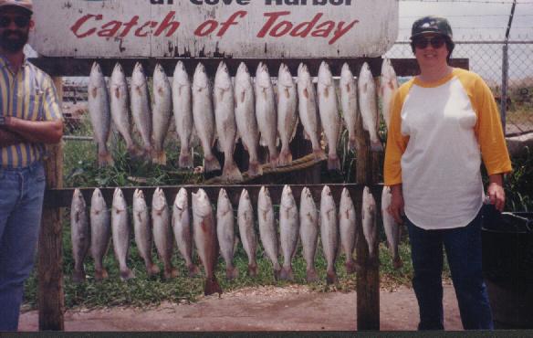 fish09.JPG