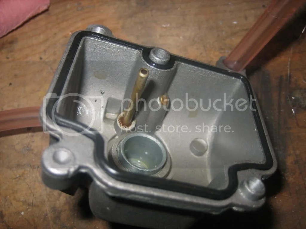 Shaking down an old dog