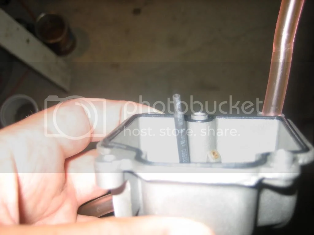 Shaking down an old dog