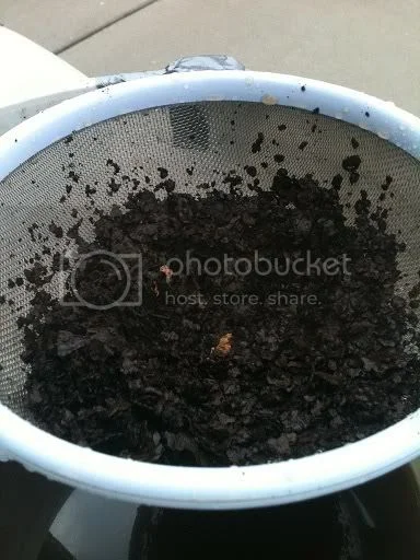 Drones Build- 1974 Commando