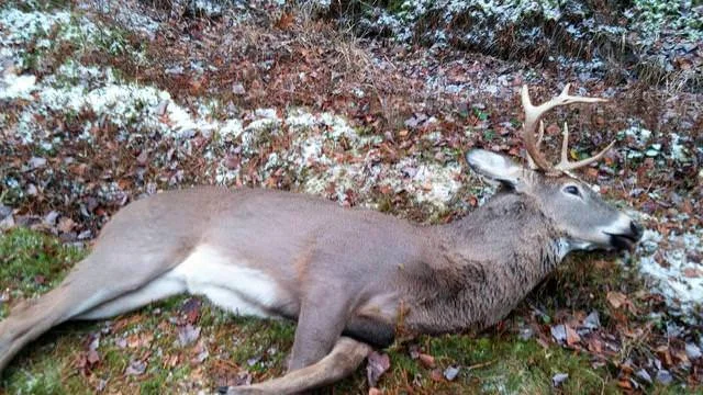 Post your jokes and humor here.