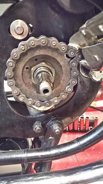 Time for Trixie to Go Under the knife