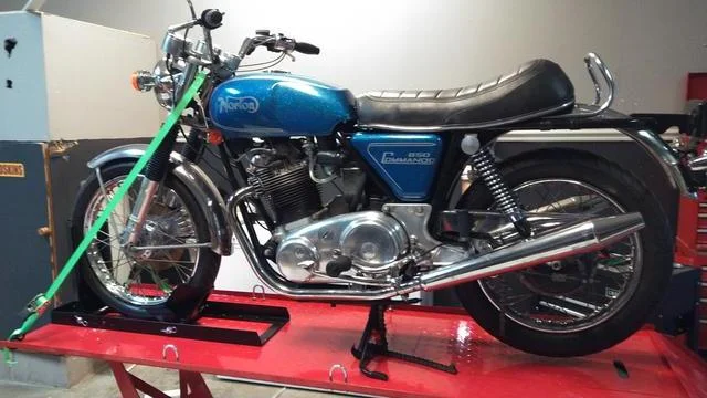 Time for Trixie to Go Under the knife