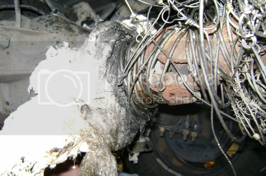 Funny clean jokes wanted