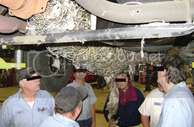 Funny clean jokes wanted