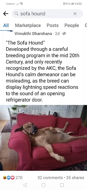 Post your jokes and humor here.