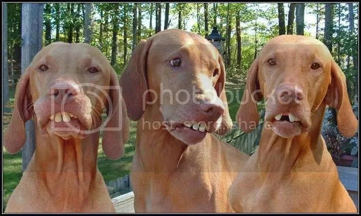 Funny clean jokes wanted