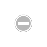 js motorsport Kehin flatslides