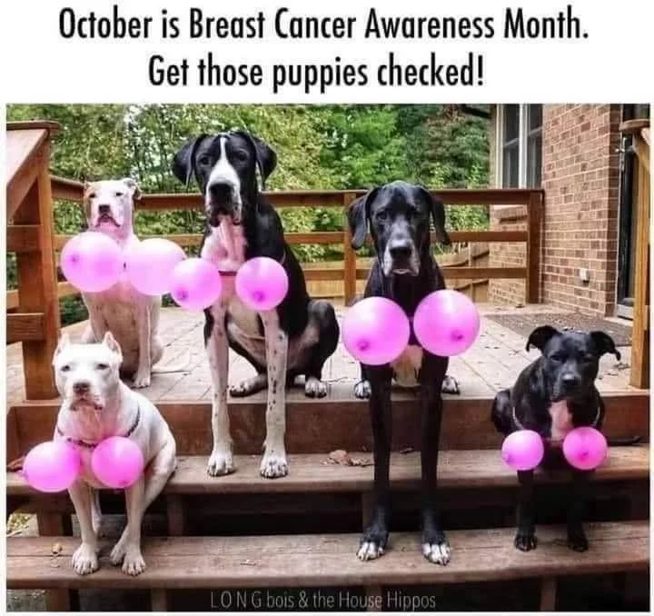 Post your jokes and humor here.