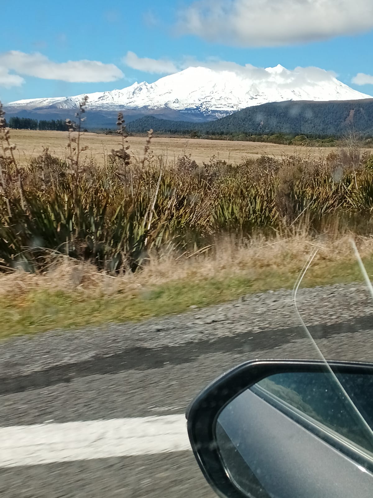 Commando spotted. Nz coast to coast