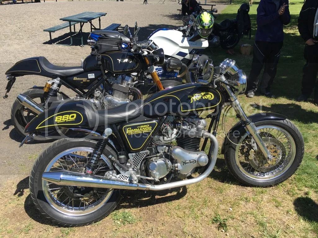 You can tell they are related