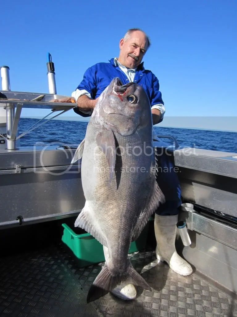 New Zealand Based 1973 850 Roadster